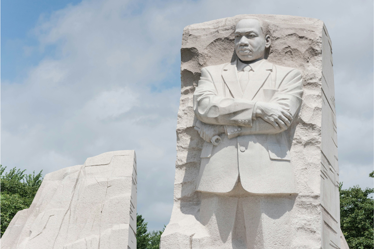North Texas Honors MLK Day with Service: Arlington Student Raises $14K for Food Security, Dallas Sorority Aids Underprivileged
