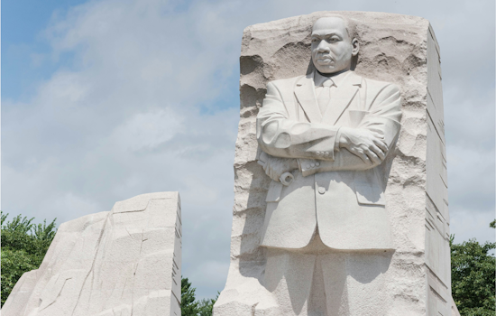 North Texas Honors MLK Day with Service: Arlington Student Raises $14K for Food Security, Dallas Sorority Aids Underprivileged