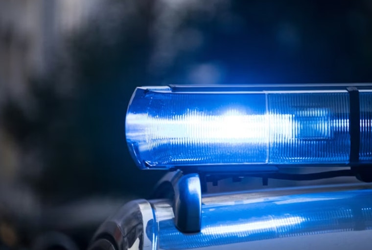 North/Clybourn Red Line Rider Punched And Robbed