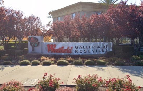 Northern California's Iranian Americans Rally for Regime Change in Iran, Echo Global Protests