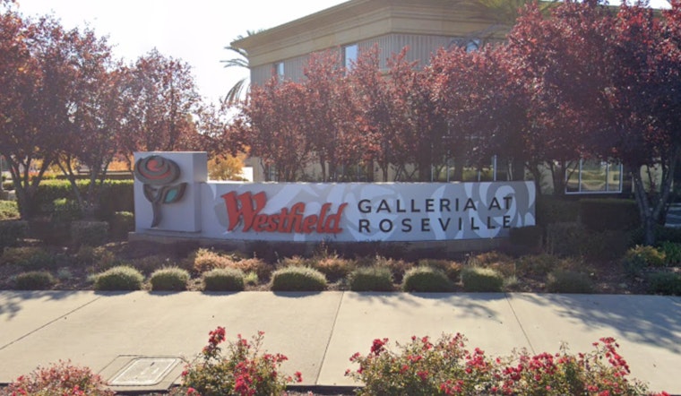 Northern California's Iranian Americans Rally for Regime Change in Iran, Echo Global Protests