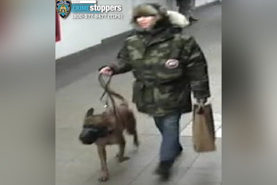 NYPD Searches for Suspect After Man Assaulted by Dog in Union Square Subway Station