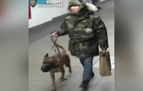 NYPD Searches for Suspect After Man Assaulted by Dog in Union Square Subway Station
