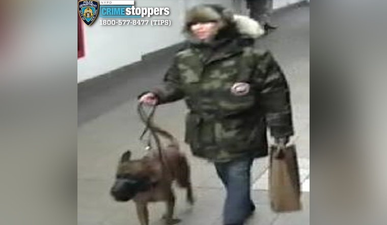 NYPD Searches for Suspect After Man Assaulted by Dog in Union Square Subway Station