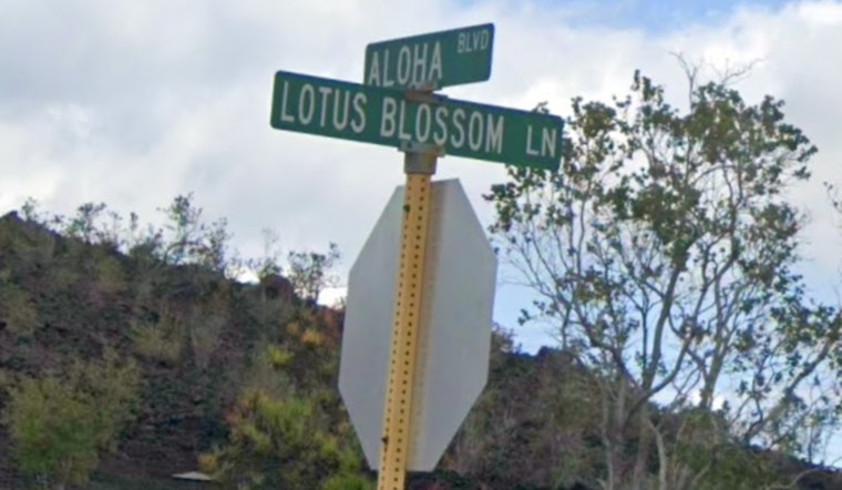 Ocean View Crash Spins Into Gunpoint Heist as Cops Hunt Pickup Duo
