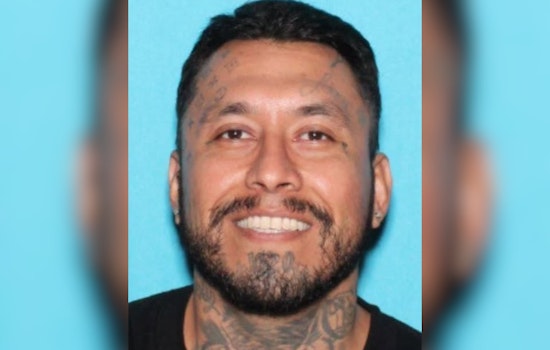 Oceanside Police Seek Public's Help in Locating Suspect Accused of Christmas Day Stabbing