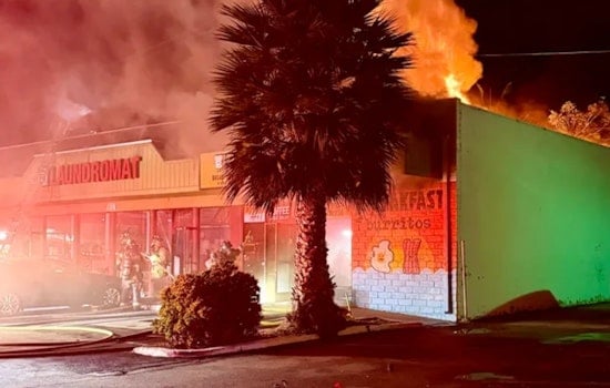 Oceanside's Beloved Bread and Cheese Eatery Seeks Community Support After Devastating Fire