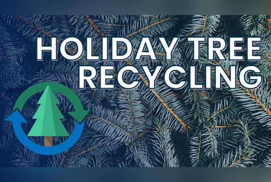 O'Fallon Urges Residents to Recycle Holiday Trees Before Time Runs Out