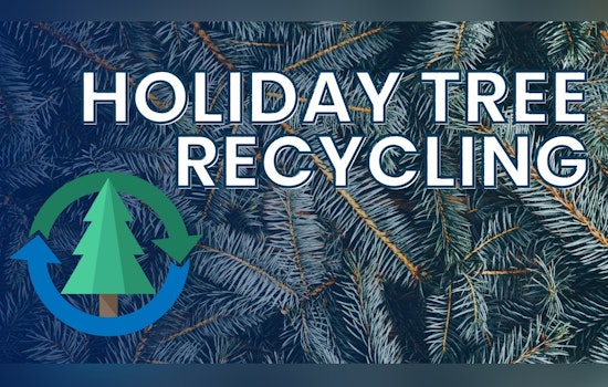 O'Fallon Urges Residents to Recycle Holiday Trees Before Time Runs Out