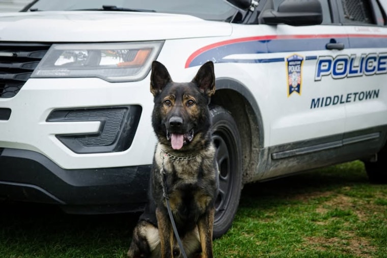 Ohio Celebrates FUR Responders: Middletown Police Rally Support for K9 Apollo in Photo Challenge