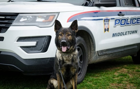 Ohio Celebrates FUR Responders: Middletown Police Rally Support for K9 Apollo in Photo Challenge