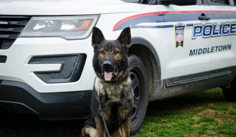Ohio Celebrates FUR Responders: Middletown Police Rally Support for K9 Apollo in Photo Challenge