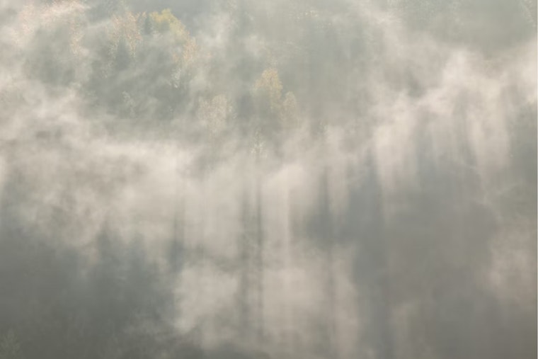 Ohio Faces Dense Fog Advisory and Swinging Weather Patterns, NWS Warns of Wind Gusts and Potential Snow