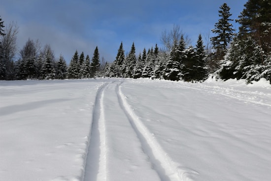Ohio Man, 22, Killed in Snowmobile Accident in Michigan's Upper Peninsula