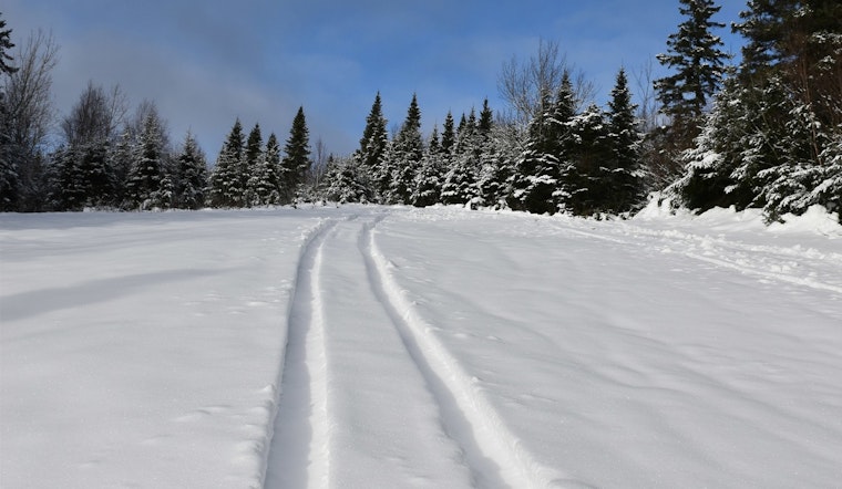 Ohio Man, 22, Killed in Snowmobile Accident in Michigan's Upper Peninsula