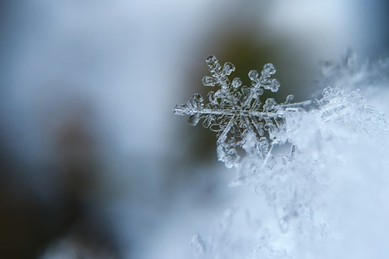 Ohio Valley Weather Alert: Snow Showers and Gusty Winds Sweep Through Columbus and Cincinnati