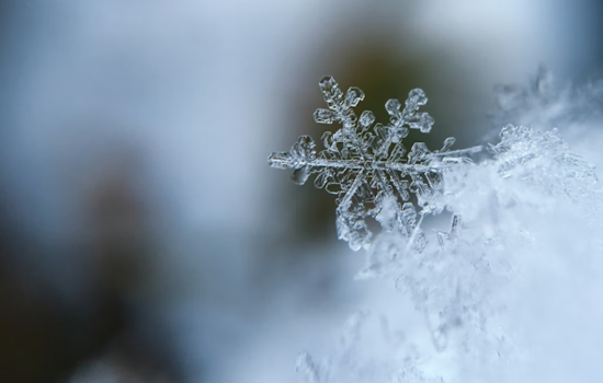 Ohio Valley Weather Alert: Snow Showers and Gusty Winds Sweep Through Columbus and Cincinnati