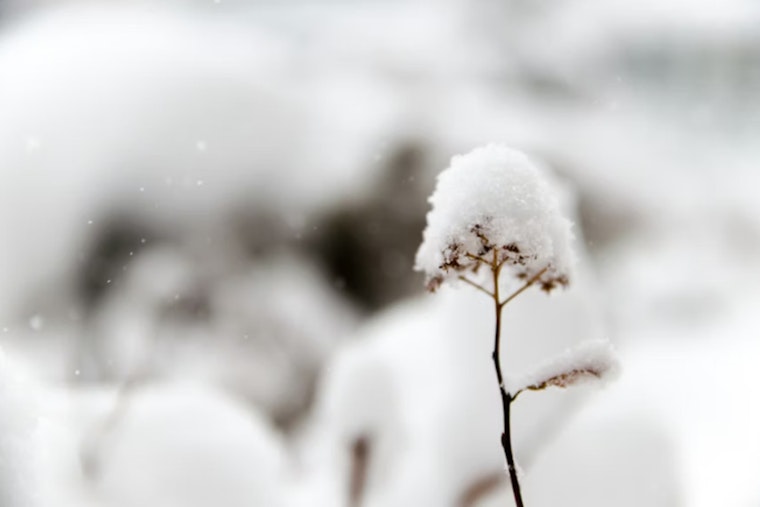 Oklahoma and Northern Texas Hit by Snow Showers and Bitter Cold, NWS Issues Warnings