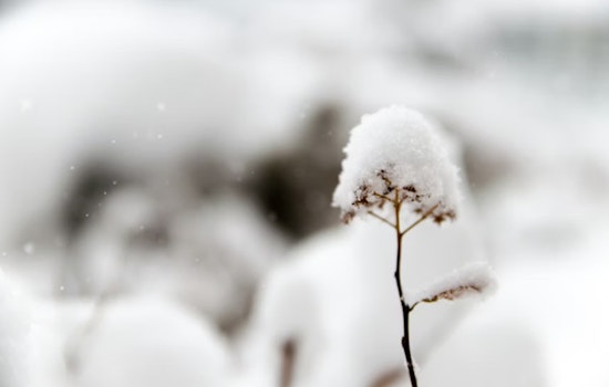 Oklahoma and Northern Texas Hit by Snow Showers and Bitter Cold, NWS Issues Warnings