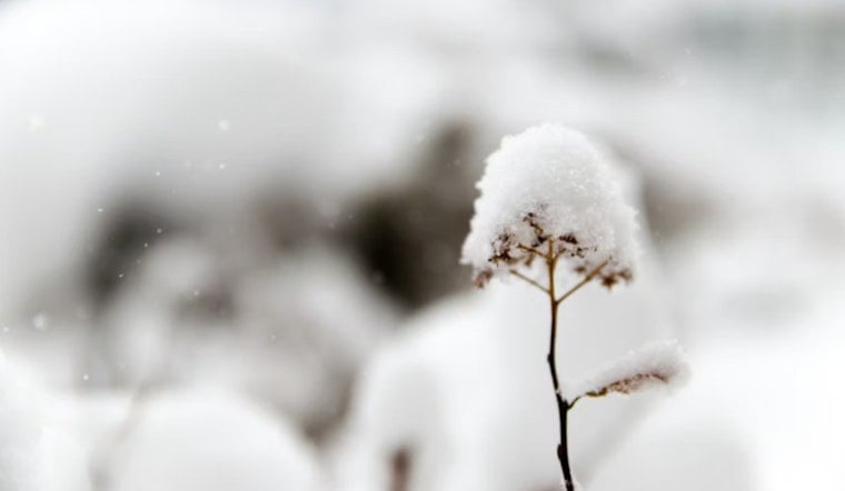 Oklahoma and Northern Texas Hit by Snow Showers and Bitter Cold, NWS Issues Warnings
