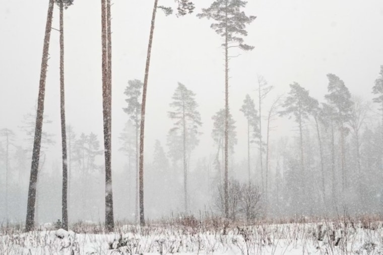 Oklahoma and Northern Texas on Alert as Extreme Winter Storm Approaches