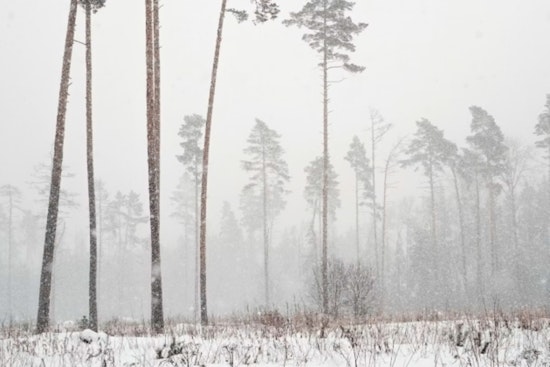 Oklahoma and Northern Texas on Alert as Extreme Winter Storm Approaches