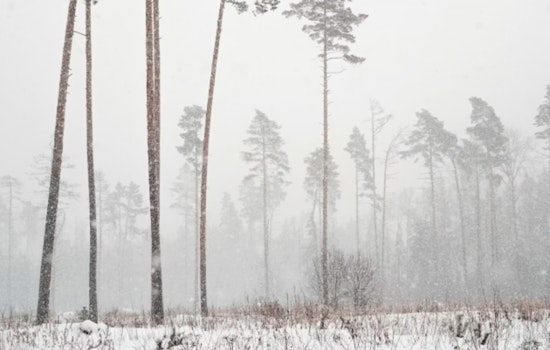 Oklahoma and Northern Texas on Alert as Extreme Winter Storm Approaches