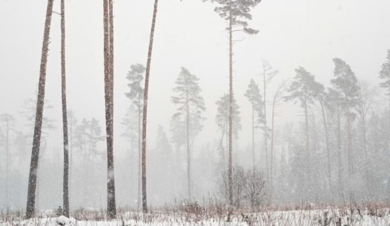 Oklahoma and Northern Texas on Alert as Extreme Winter Storm Approaches