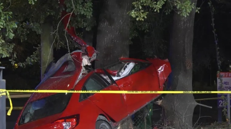 One Killed in Single-Vehicle Collision with Tree in East Houston