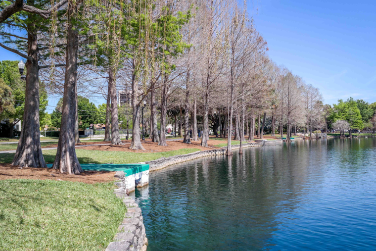 Orlando's Lake Eola Swan Deaths Spark Fear of Avian Flu, Prompting Calls for Action