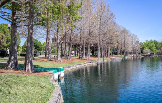 Orlando's Lake Eola Swan Deaths Spark Fear of Avian Flu, Prompting Calls for Action
