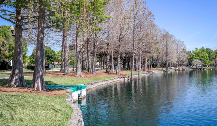 Orlando's Lake Eola Swan Deaths Spark Fear of Avian Flu, Prompting Calls for Action