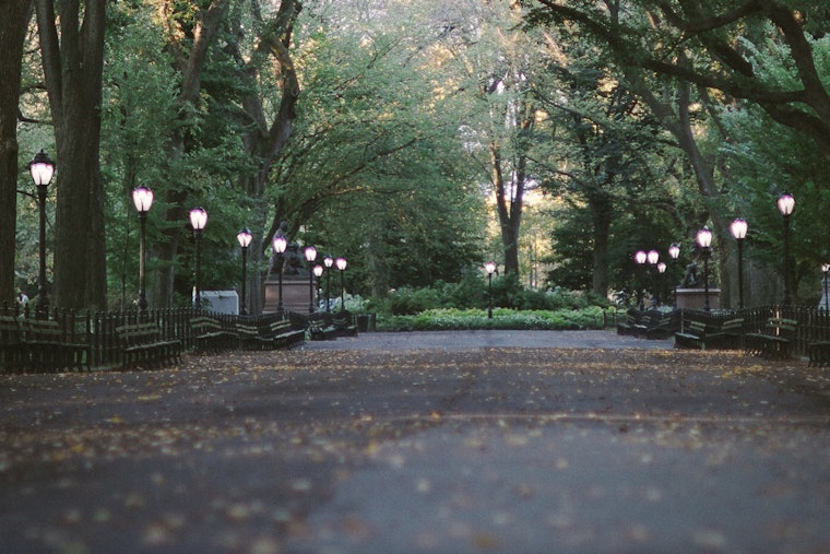 Over 4,300 New Yorkers Ring in 2026 with NYRR Midnight Run in Central Park