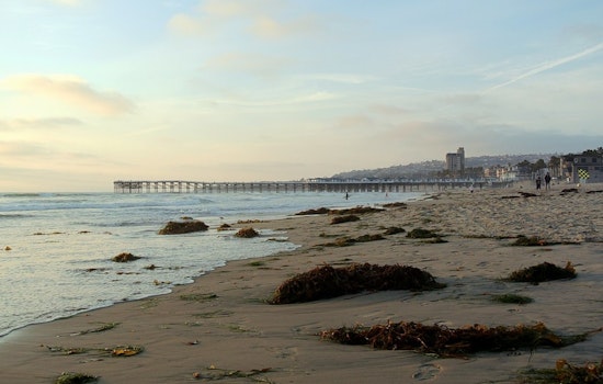 Pacific Beach Cliffs Crumble Near Crystal Pier as Locals Sound Alarm