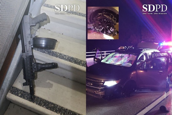 Paradise Hills Rifle Shock: Cops Use Spike Strips, K‑9 To End Wild Chase