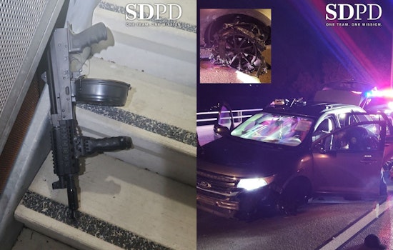 Paradise Hills Rifle Shock: Cops Use Spike Strips, K‑9 To End Wild Chase