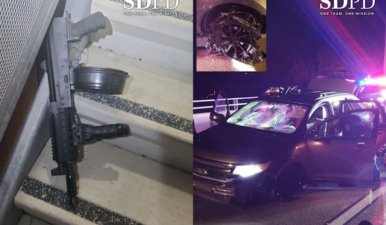 Paradise Hills Rifle Shock: Cops Use Spike Strips, K‑9 To End Wild Chase