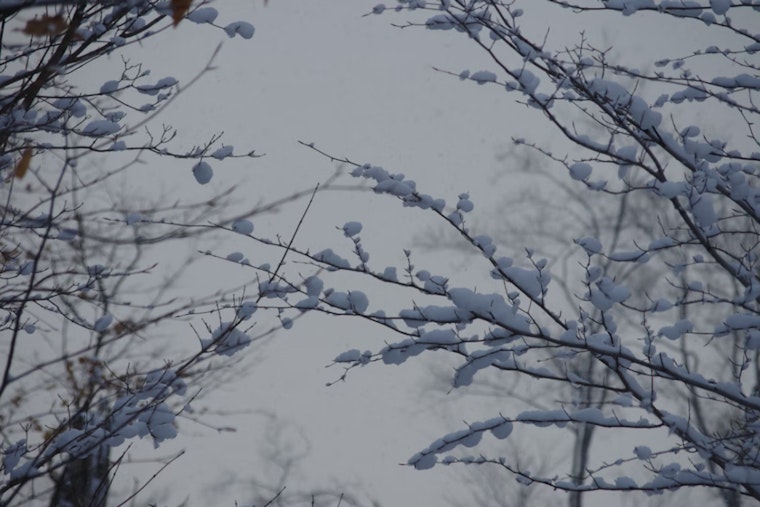 Philadelphia Braces for Heavy Snow and Sleet as Winter Storm Warning Issued