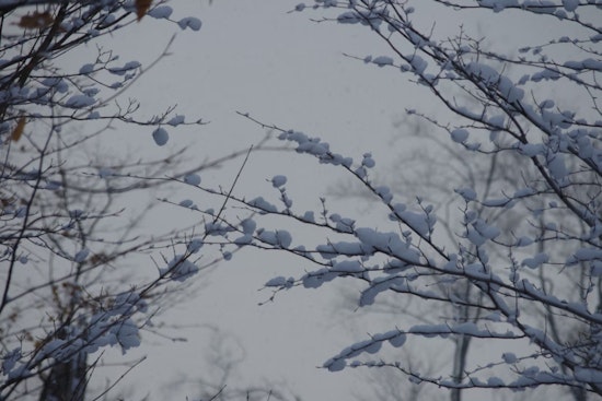 Philadelphia Braces for Heavy Snow and Sleet as Winter Storm Warning Issued