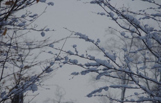 Philadelphia Braces for Heavy Snow and Sleet as Winter Storm Warning Issued