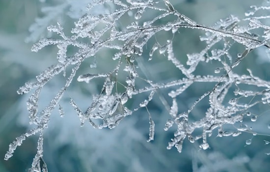 Philadelphia Braces for Wintry Mix with Snow and Rain Expected, Sunny M.L. King Day Ahead