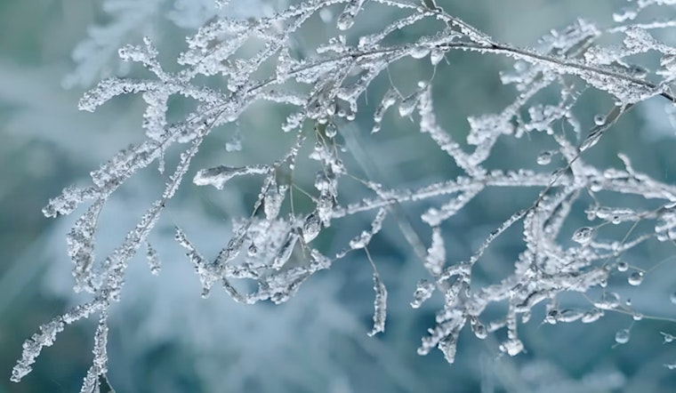 Philadelphia Braces for Wintry Mix with Snow and Rain Expected, Sunny M.L. King Day Ahead