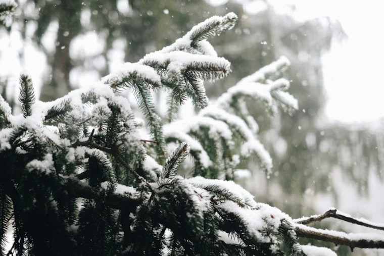 Philadelphia Faces Severe Winter Storm as NWS Issues Warning for Heavy Snow and Icy Conditions