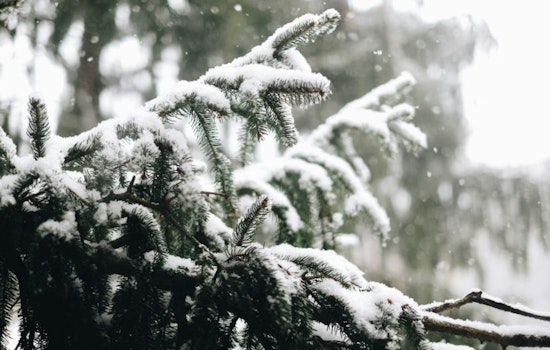 Philadelphia Faces Severe Winter Storm as NWS Issues Warning for Heavy Snow and Icy Conditions