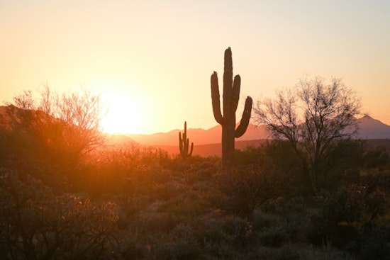 Phoenix Shatters Temperature Records with Hottest December Since 1896 Amidst Climate Concerns