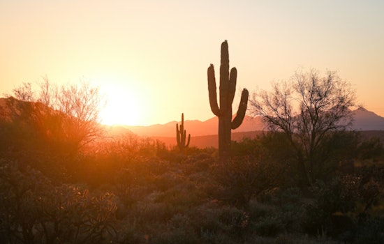Phoenix Shatters Temperature Records with Hottest December Since 1896 Amidst Climate Concerns