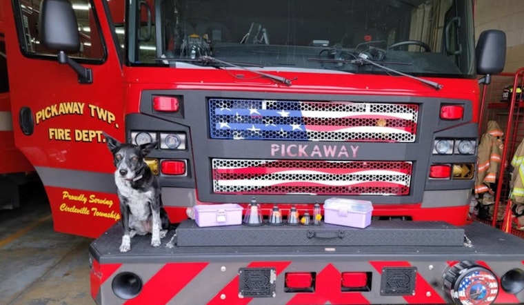 Pickaway Township Fire Department Boosts Pet Safety with Donation of Oxygen Masks from Mona Pants Foundation
