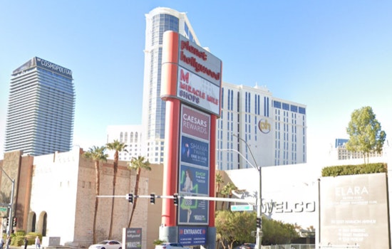 Planet Hollywood Chaos, Strip Birthday Brawl Ends With Cop Chokehold Arrest