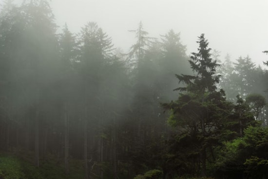 Portland Basks In Spring Tease Before Sunday Soaker Rolls In