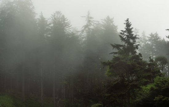 Portland Basks In Spring Tease Before Sunday Soaker Rolls In